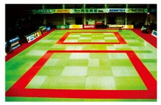 衡水柔道墊批發，全國認準籃鯨品牌，優質體育器材專業之選